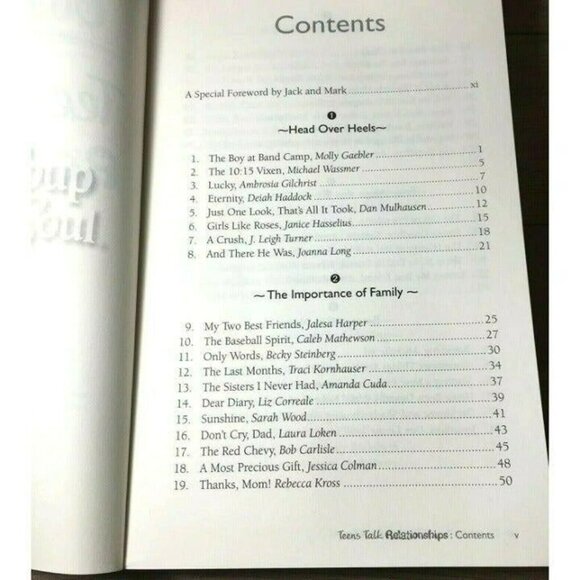 Chicken Soup for the Soul Teens Talk Relationships 101 Stories About Family LOVE - Picture 3 of 5